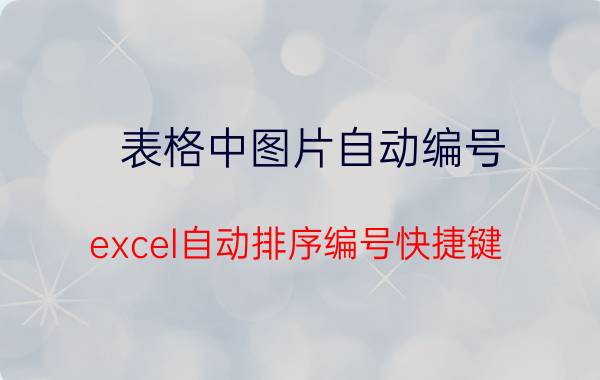 表格中图片自动编号 excel自动排序编号快捷键？